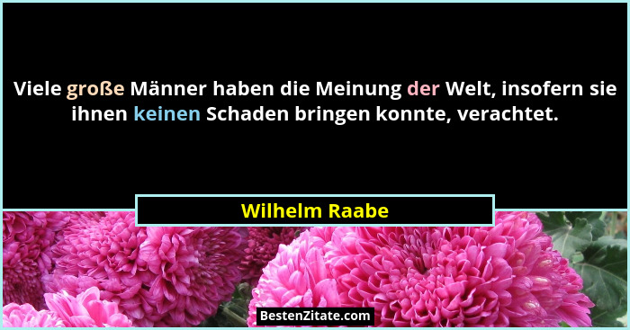 Viele große Männer haben die Meinung der Welt, insofern sie ihnen keinen Schaden bringen konnte, verachtet.... - Wilhelm Raabe