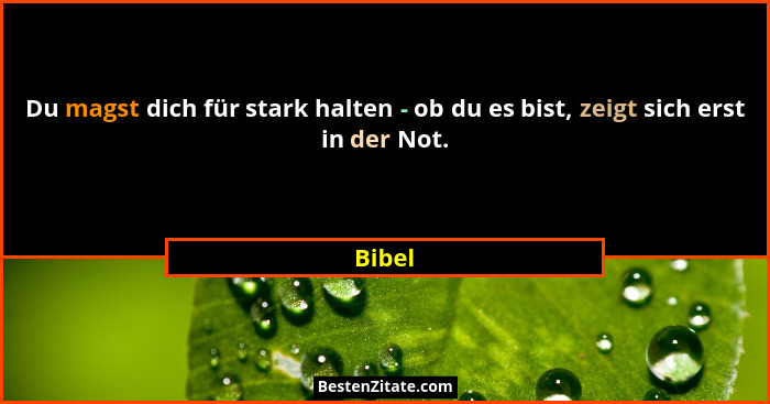 Du magst dich für stark halten - ob du es bist, zeigt sich erst in der Not.... - Bibel