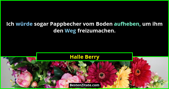 Ich würde sogar Pappbecher vom Boden aufheben, um ihm den Weg freizumachen.... - Halle Berry