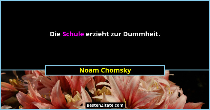 Die Schule erzieht zur Dummheit.... - Noam Chomsky