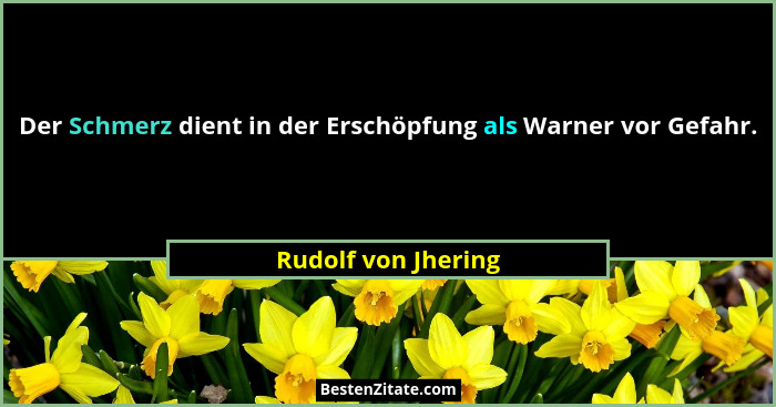 Der Schmerz dient in der Erschöpfung als Warner vor Gefahr.... - Rudolf von Jhering