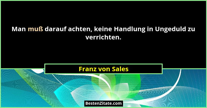 Man muß darauf achten, keine Handlung in Ungeduld zu verrichten.... - Franz von Sales
