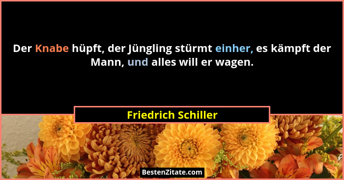 Der Knabe hüpft, der Jüngling stürmt einher, es kämpft der Mann, und alles will er wagen.... - Friedrich Schiller