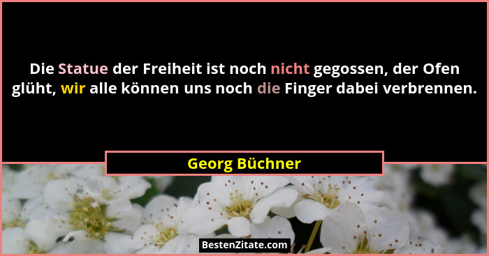 Die Statue der Freiheit ist noch nicht gegossen, der Ofen glüht, wir alle können uns noch die Finger dabei verbrennen.... - Georg Büchner