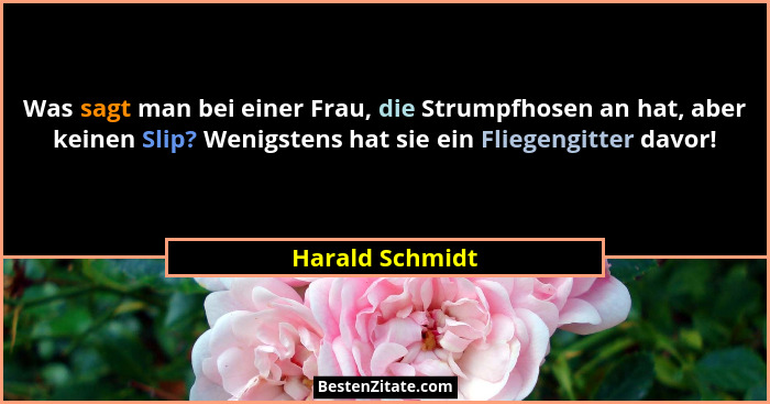 Was sagt man bei einer Frau, die Strumpfhosen an hat, aber keinen Slip? Wenigstens hat sie ein Fliegengitter davor!... - Harald Schmidt