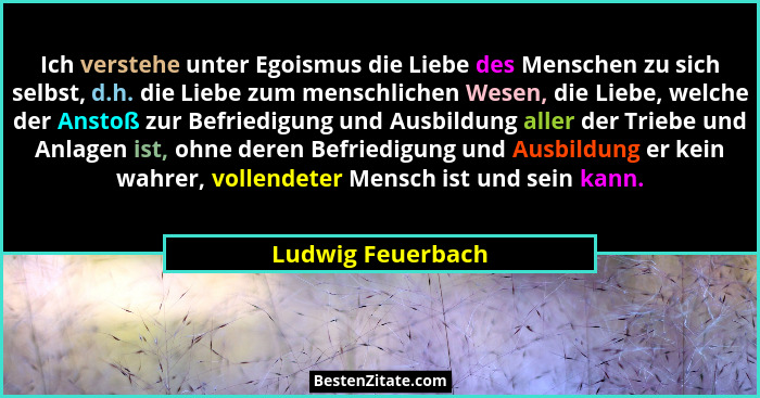 Ich verstehe unter Egoismus die Liebe des Menschen zu sich selbst, d.h. die Liebe zum menschlichen Wesen, die Liebe, welche der Ans... - Ludwig Feuerbach