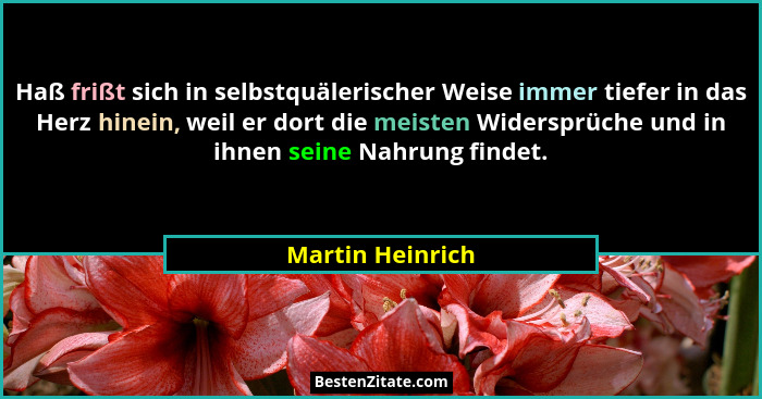 Haß frißt sich in selbstquälerischer Weise immer tiefer in das Herz hinein, weil er dort die meisten Widersprüche und in ihnen seine... - Martin Heinrich