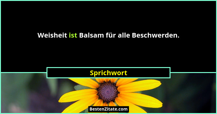 Weisheit ist Balsam für alle Beschwerden.... - Sprichwort