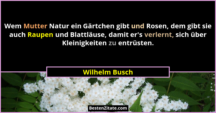 Wem Mutter Natur ein Gärtchen gibt und Rosen, dem gibt sie auch Raupen und Blattläuse, damit er's verlernt, sich über Kleinigkeite... - Wilhelm Busch